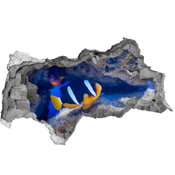 Díra 3D fototapeta nálepka Podvodní svět korálového útesu