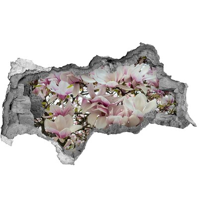 Samolepící nálepka fototapeta Květy magnolie