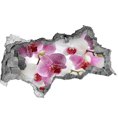 Fototapeta nálepka na zeď Fototapeta orchidej