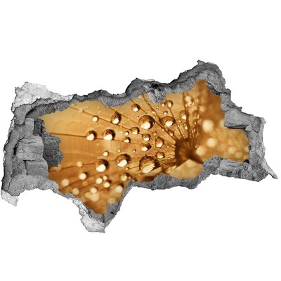 Samolepící nálepka fototapeta Kapky na listu