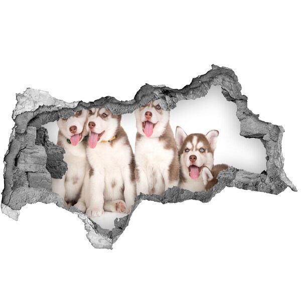 Díra 3D fototapeta nálepka Štěně Husky