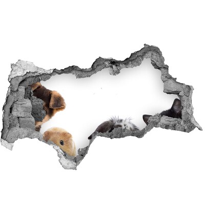 Díra 3D fototapeta nálepka Domácí zvířata