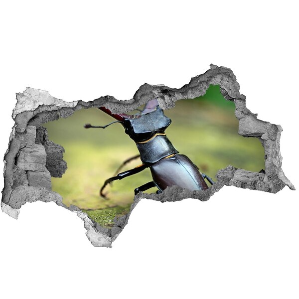 Díra 3D fototapeta na stěnu Tvor z lesa