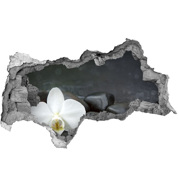 Samolepící nálepka fototapeta Orchidej