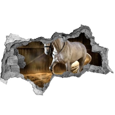 Díra 3D fototapeta na stěnu Kůň ve stáji