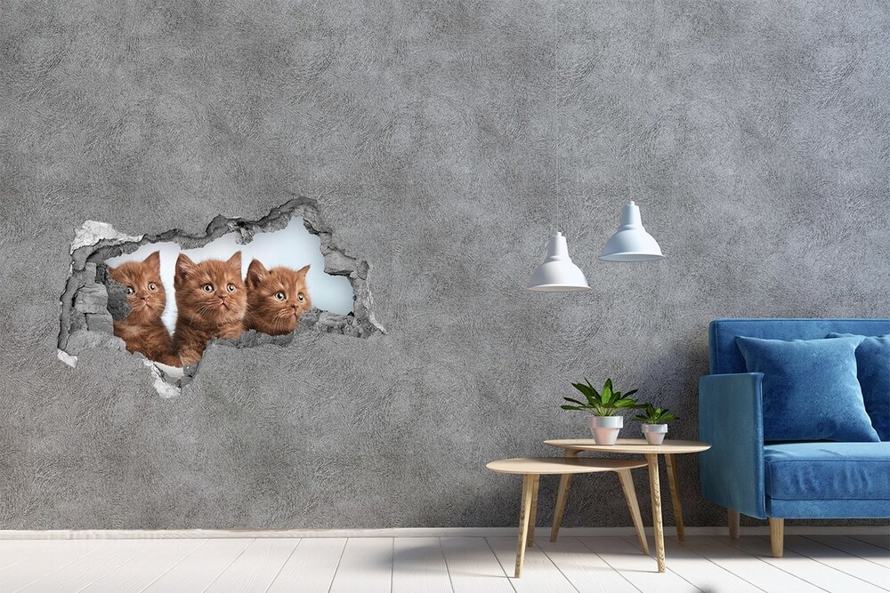 Díra 3D fototapeta na stěnu Kočičky na ručníku