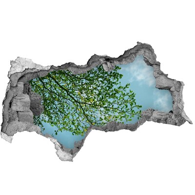 Díra 3D ve zdi nálepka Zelené listy pod modrou oblohou