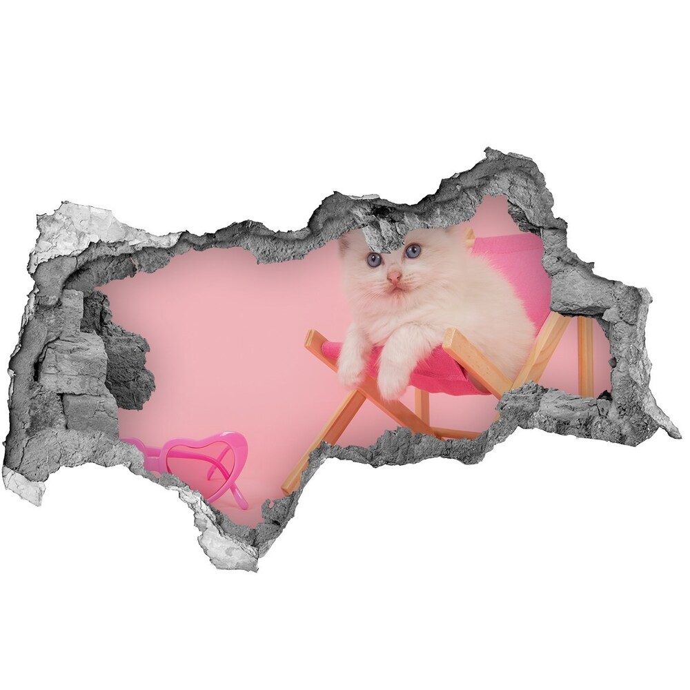 Díra 3D fototapeta nálepka Koška na lehátku