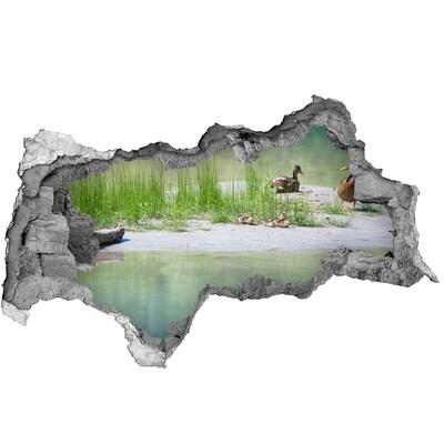 Díra 3D fototapeta nálepka Kachny nad vodou