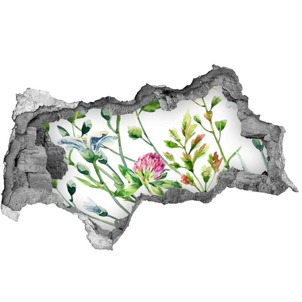 Nálepka 3D díra na zeď Divoké květiny
