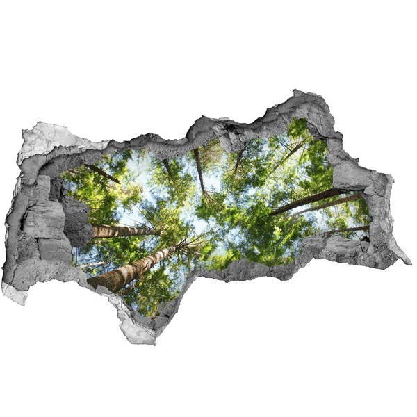 Díra 3D ve zdi na stěnu Pohled na les s modrou oblohou