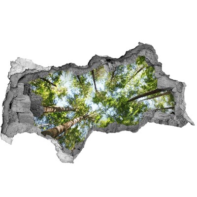 Díra 3D ve zdi na stěnu Pohled na les s modrou oblohou