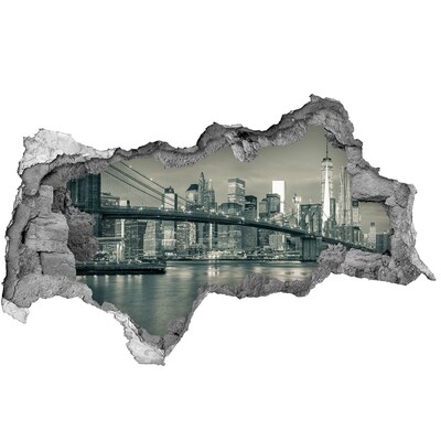 Fototapeta díra na zeď Pohled na New York