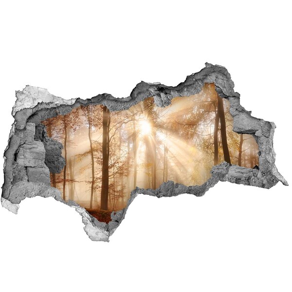 Díra 3D ve zdi nálepka Lesní průsmyk Slunce