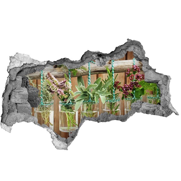 Samolepící nálepka fototapeta Bylinková zahrada ve sklenicích