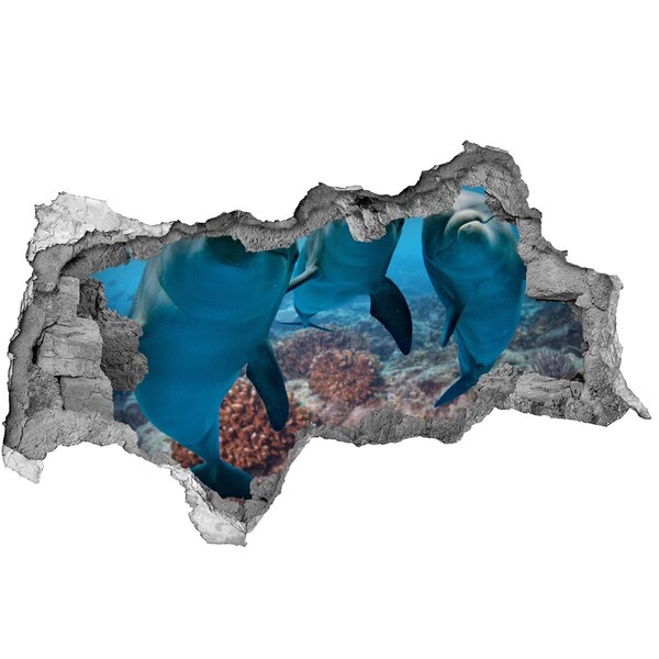 Fototapeta díra na zeď Delfíni v korálovém útesu