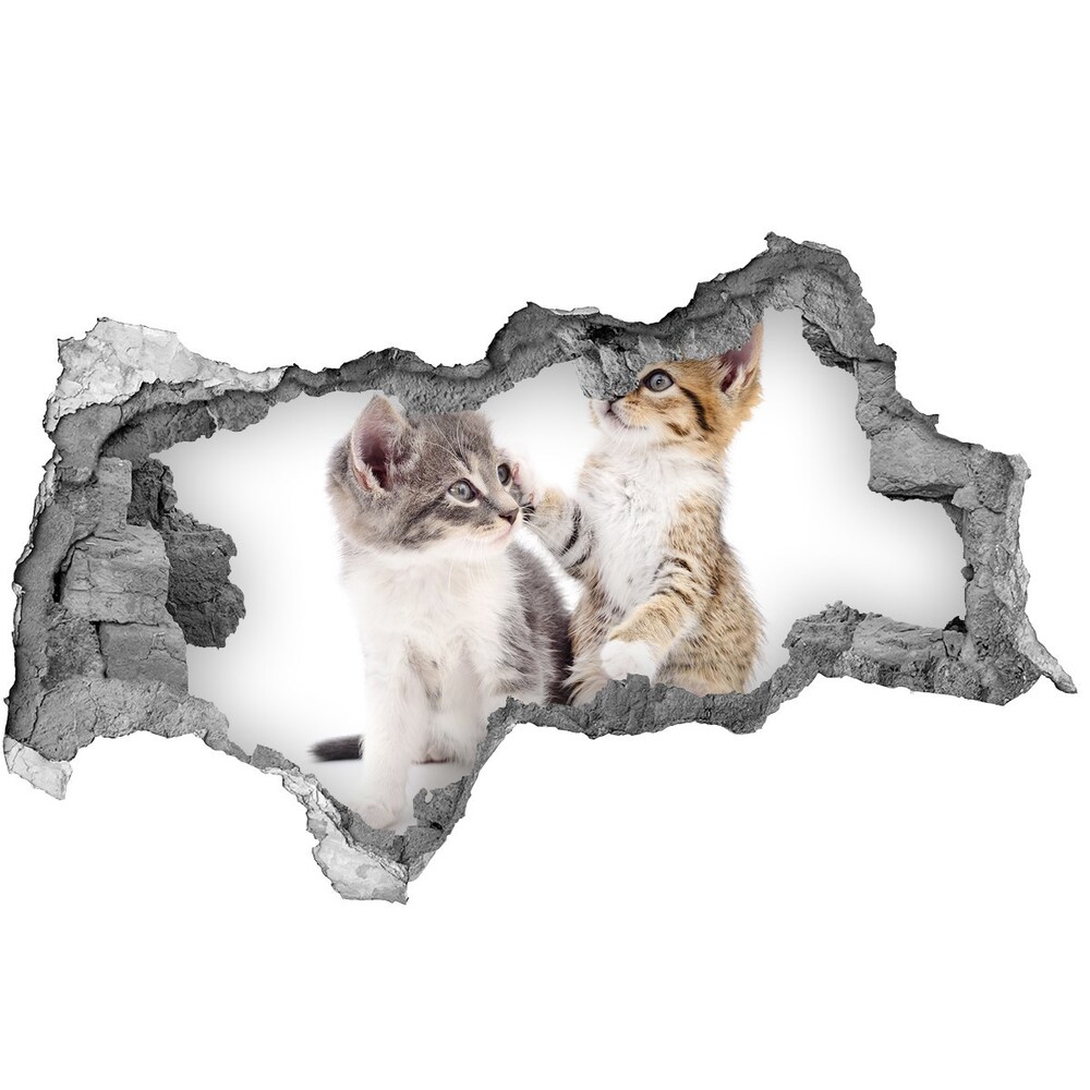 Díra 3D fototapeta nálepka Dvě malé kočky