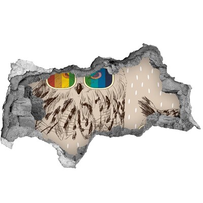 Díra 3D fototapeta nálepka Soví oko v díře ve zdi