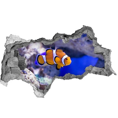 Díra 3D fototapeta Korálový útes