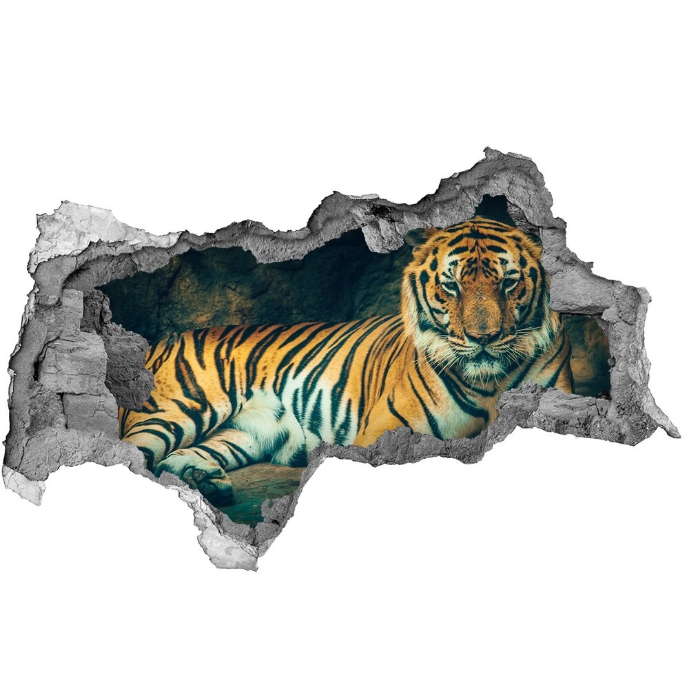 Díra 3D fototapeta nálepka Tygr v jeskyni
