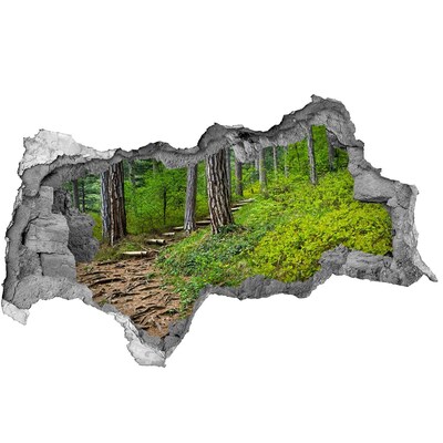 Díra 3D ve zdi nálepka Lesní stezka