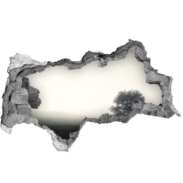 Díra 3D ve zdi nálepka Mlžná mýtina s osamělým stromem