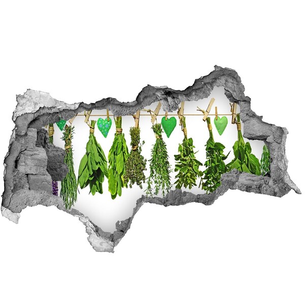 Samolepící nálepka na zeď Bylinková zahrada Díra ve zdi