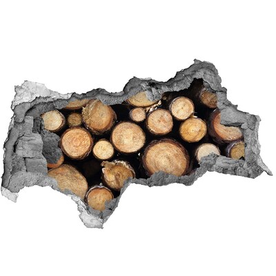 Samolepící nálepka na zeď Dřevo v díře ve zdi