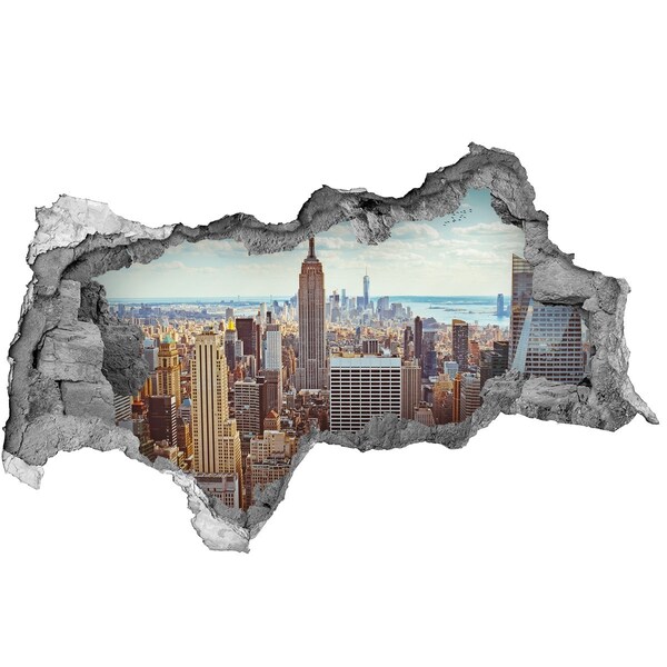 Fototapeta díra na zeď 3D New York z ptačího pohledu