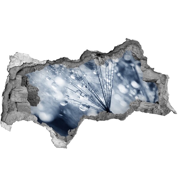 Samolepící nálepka Kapky rosy na pampelišce