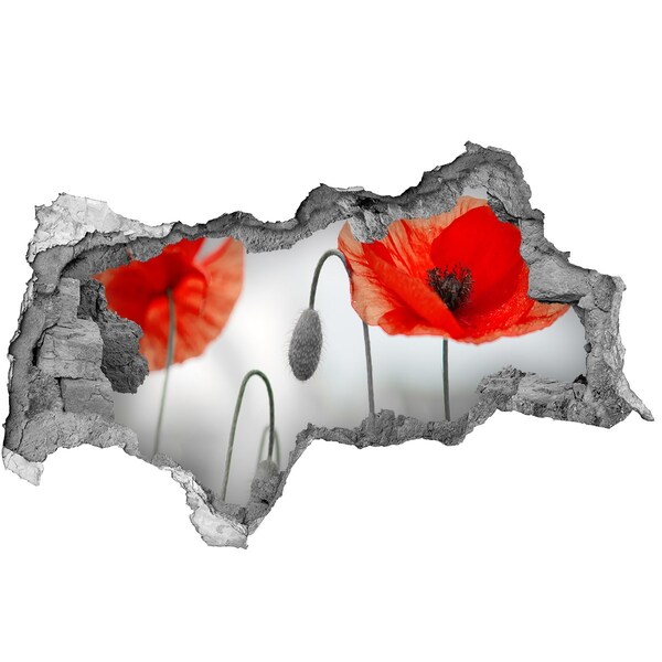 Samolepící nálepka na zeď fototapeta Květiny v díře ve zdi