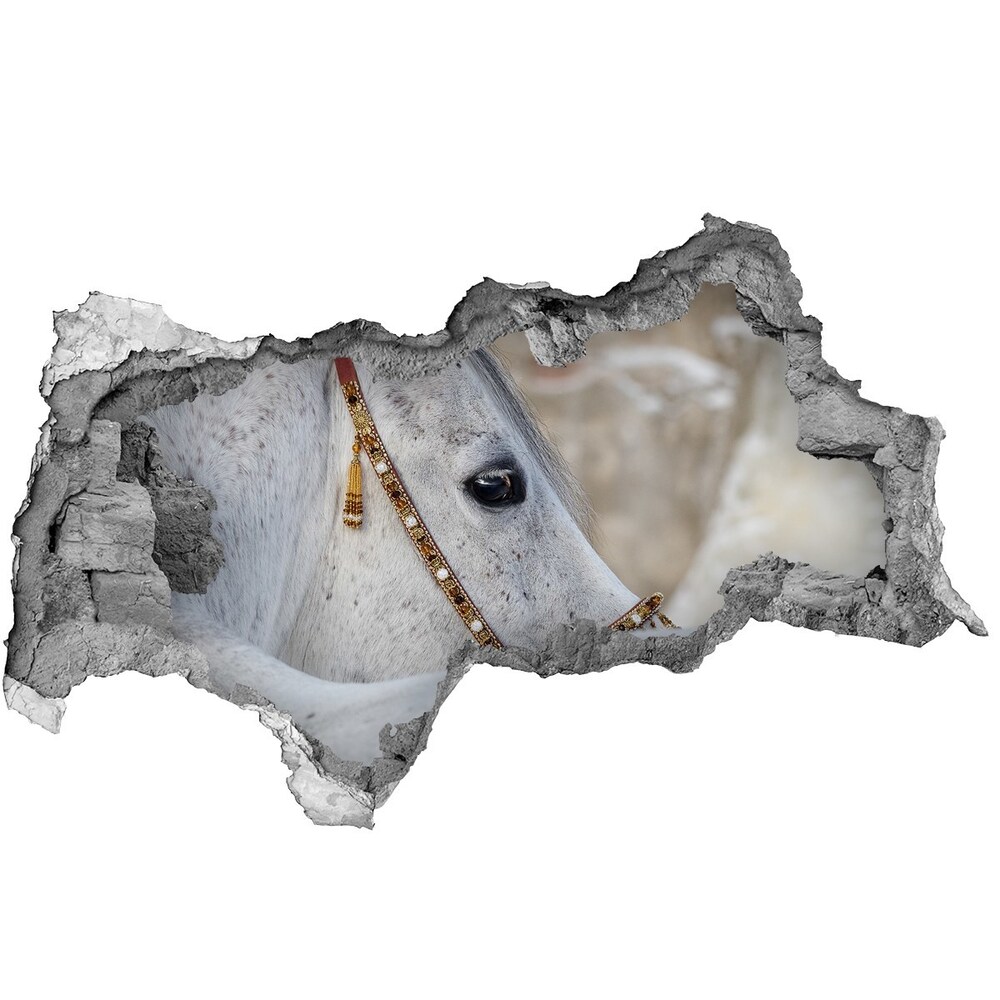 Díra 3D fototapeta nálepka Bílý arabský kůň