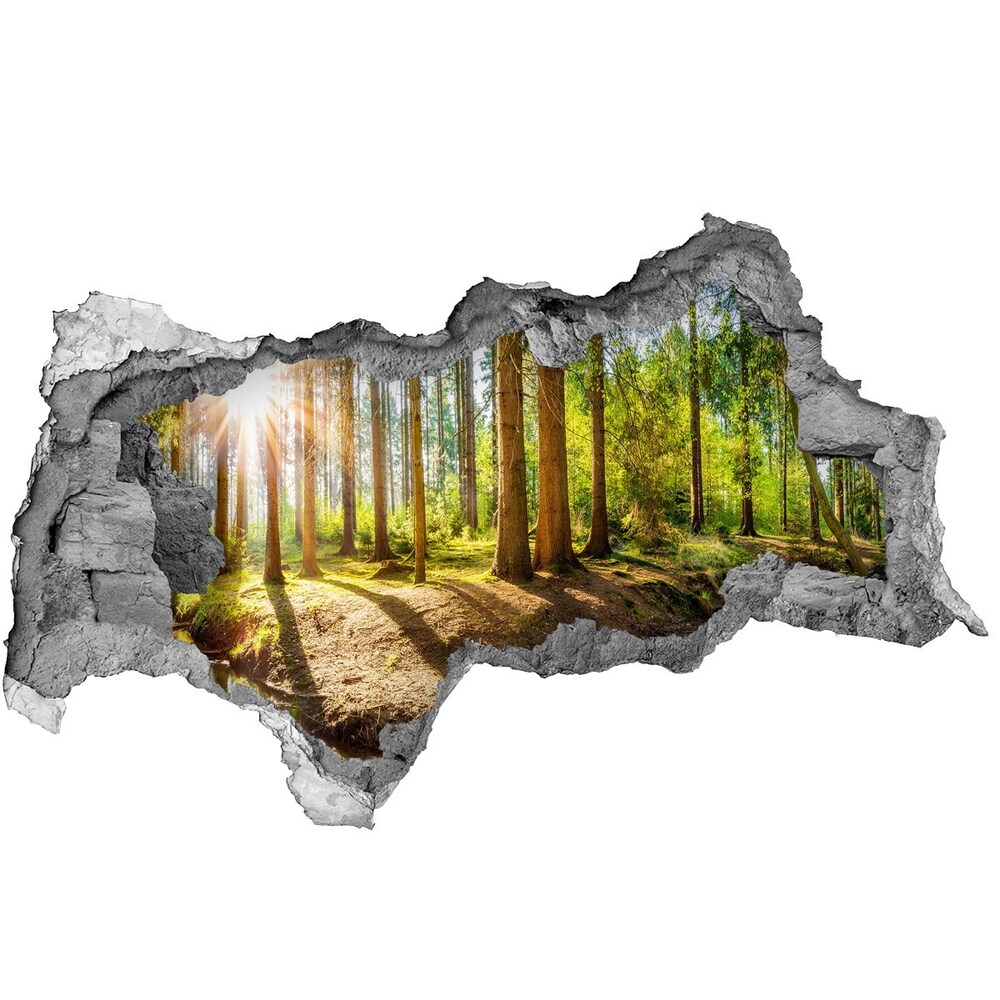 Díra 3D ve zdi na stěnu Panorama les