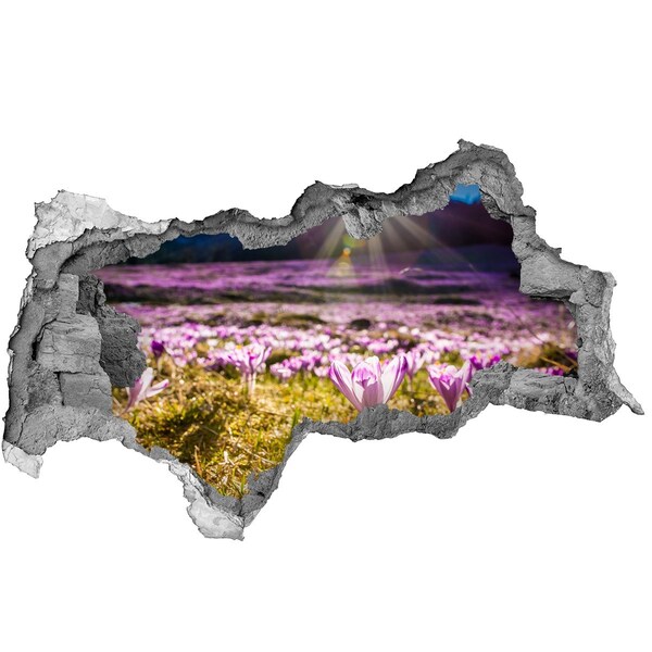 Díra 3D ve zdi nálepka Květinové pole na slunci