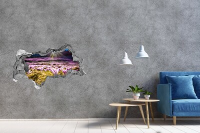 Díra 3D ve zdi nálepka Květinové pole na slunci