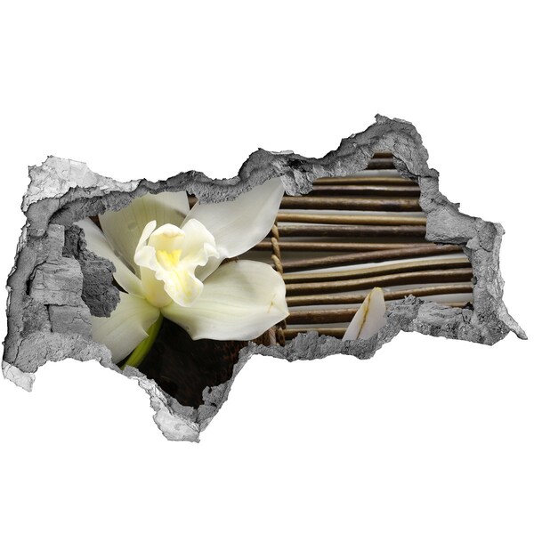 Fototapeta nálepka na zeď Květinová oáza mezi kameny