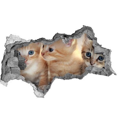 Díra 3D fototapeta nálepka Koťátka