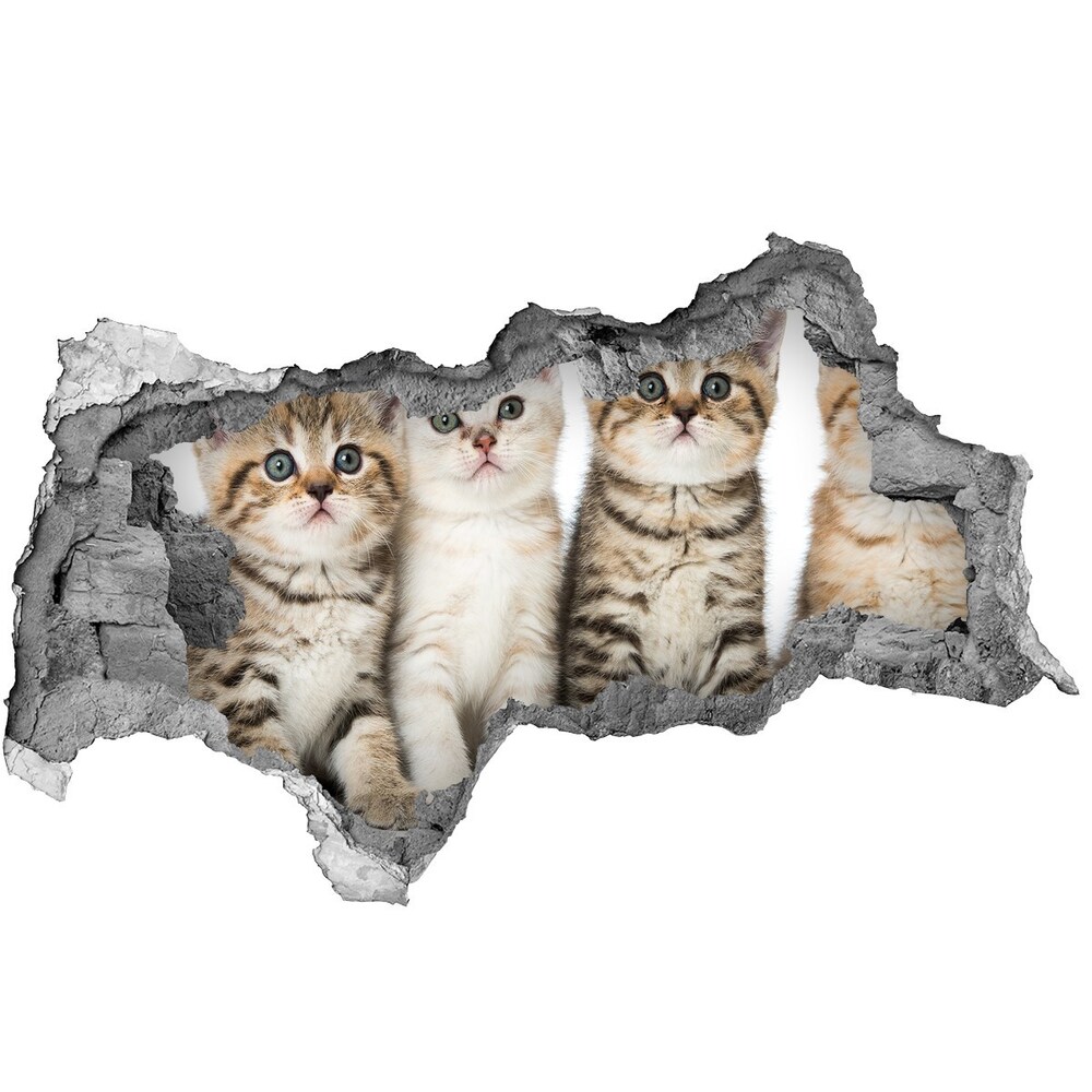 Díra 3D fototapeta nálepka Koťátka