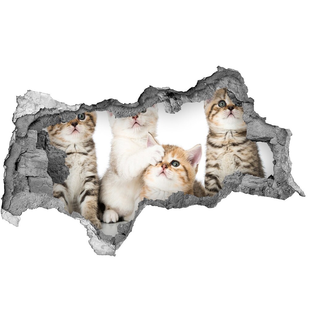 Díra 3D fototapeta nástěnná Nálepka koťátka