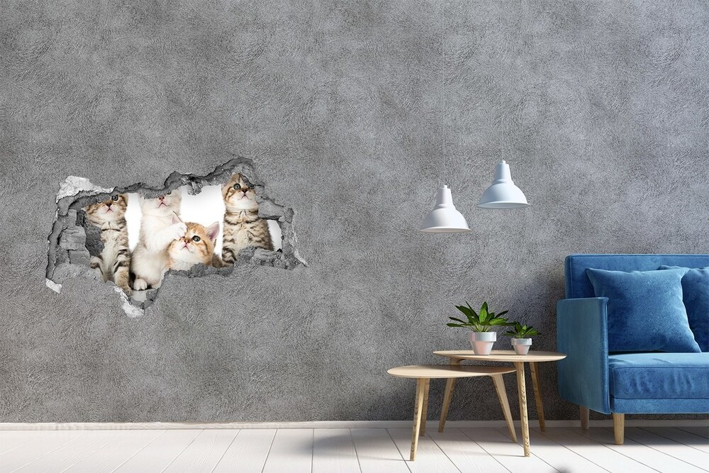 Díra 3D fototapeta nástěnná Nálepka koťátka