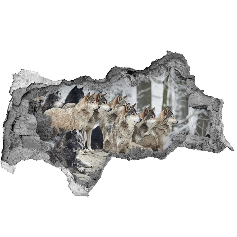Díra 3D fototapeta nástěnná Nálepka vlci zimou