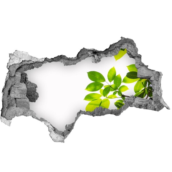 Samolepící nálepka fototapeta Zelená oáza za zdí