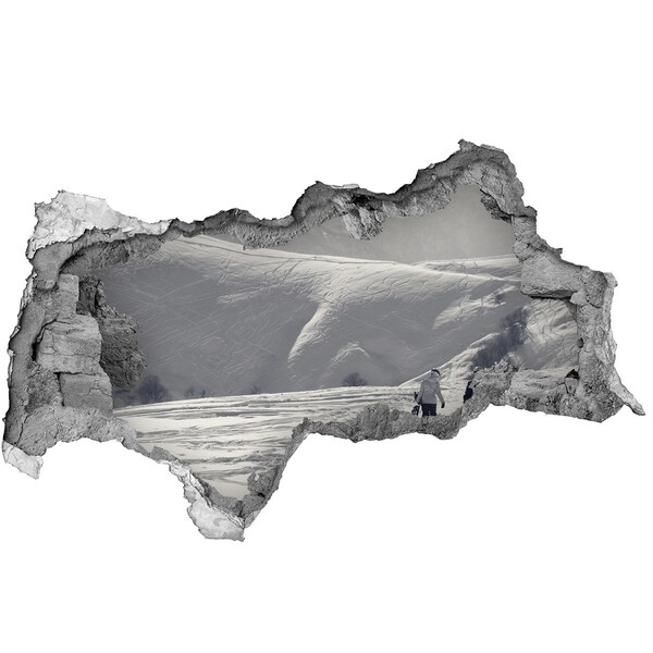 Fototapeta díra na zeď Zimní horská krajina