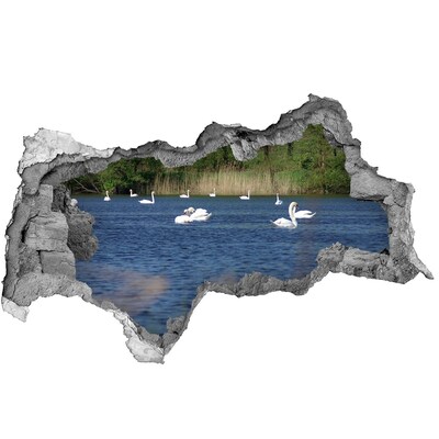 Díra 3D fototapeta nálepka Jezero s labutěmi