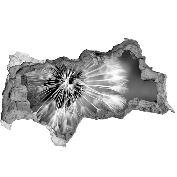 Samolepící nálepka na zeď Pampelišky v černé a bílé