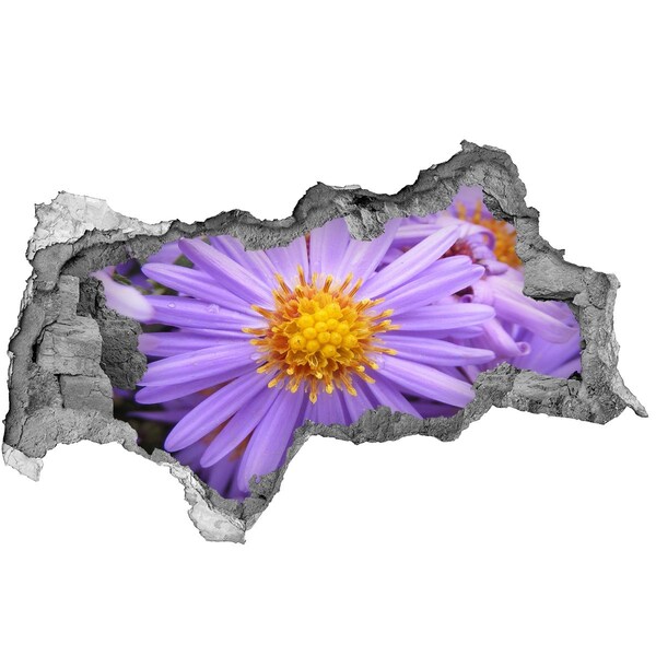 Samolepící nálepka na zeď fototapeta Květina v betonu