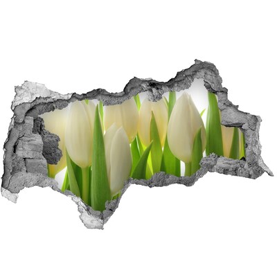 Samolepící nálepka fototapeta Tulipány za denního světla