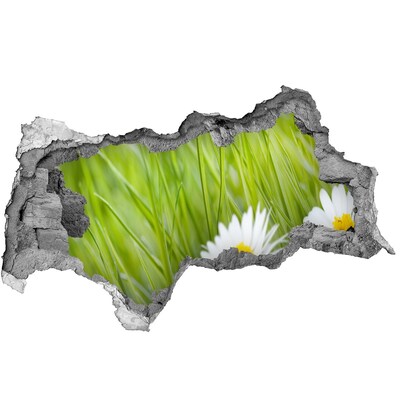 Samolepící nálepka fototapeta Květina v zelené zahradě