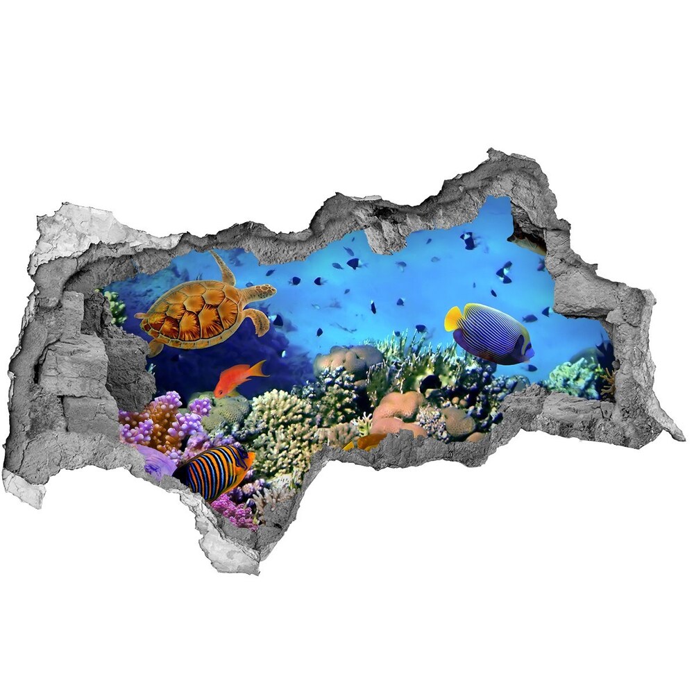 Díra 3D fototapeta nálepka Korálový útes