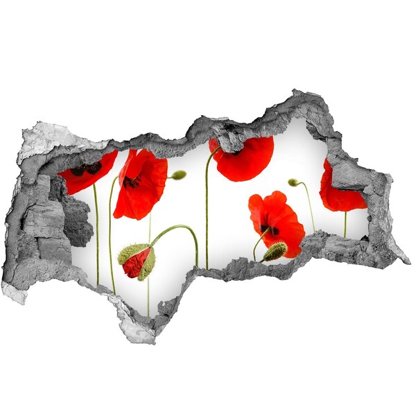 Samolepící nálepka fototapeta Květy máku v díře ve zdi